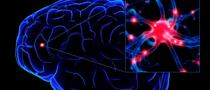 Representação 3D da Esclerose Lateral Amiotrófica